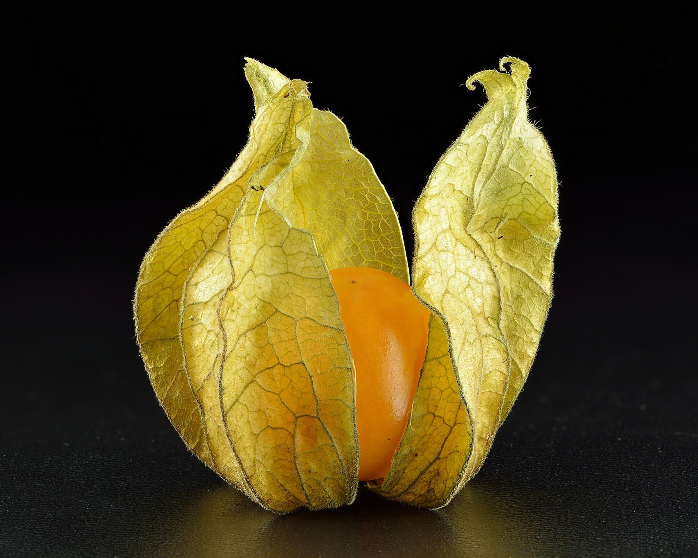 Gooseberry imported image